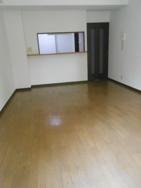 Living and room. Large living