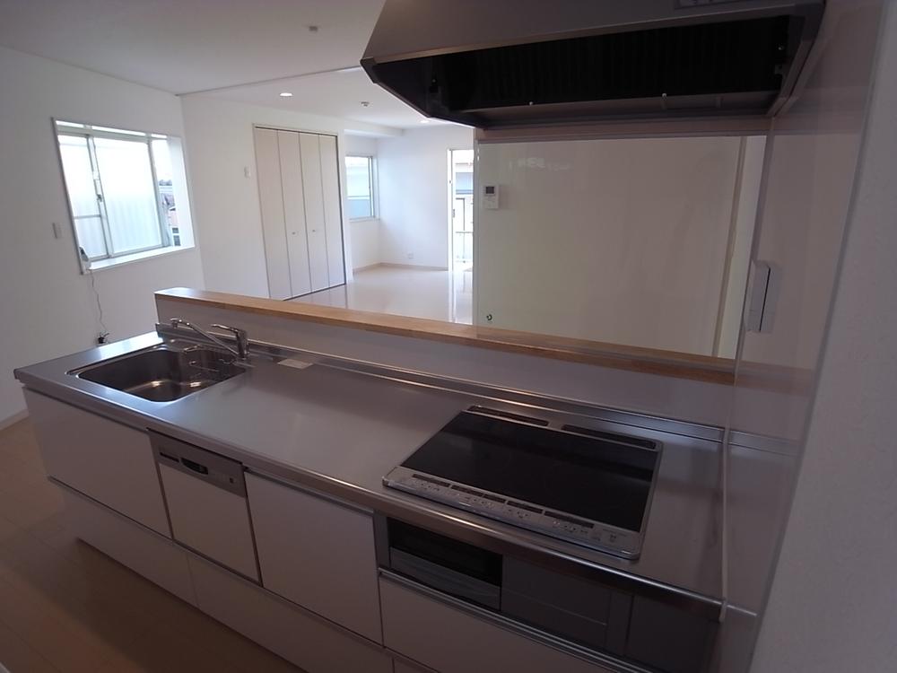 Kitchen. Popular dishwasher with a system Kitchen Room (May 2013) Shooting