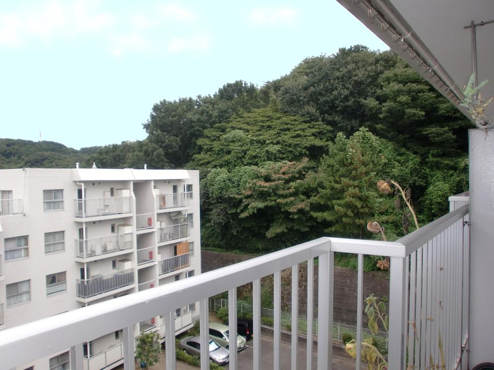 View photos from the dwelling unit. View from local (September 2013 shooting)