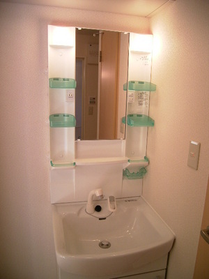 Washroom. Wash basin is a handy shampoo dresser also in the busy morning preparation!