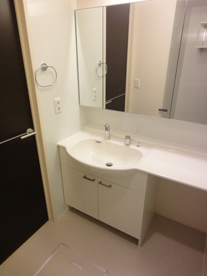 Washroom. Bathroom Vanity