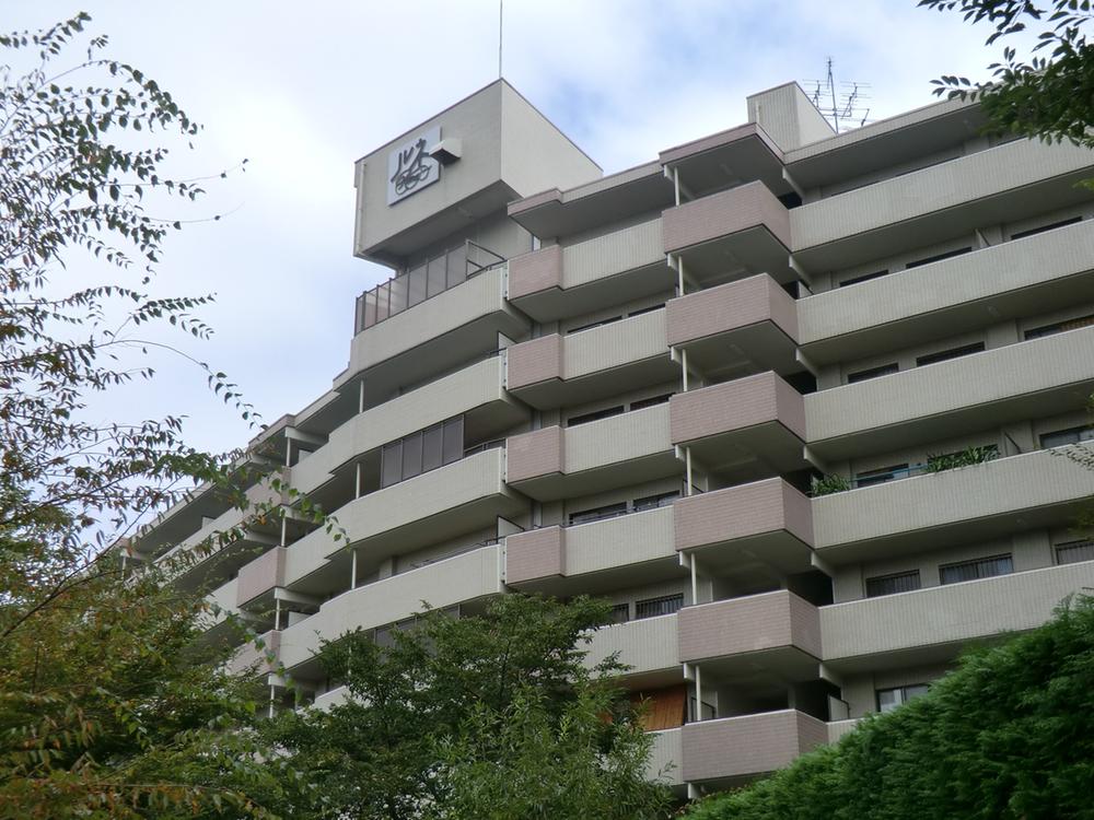 Local appearance photo. Local appearance (September 2013) Shooting