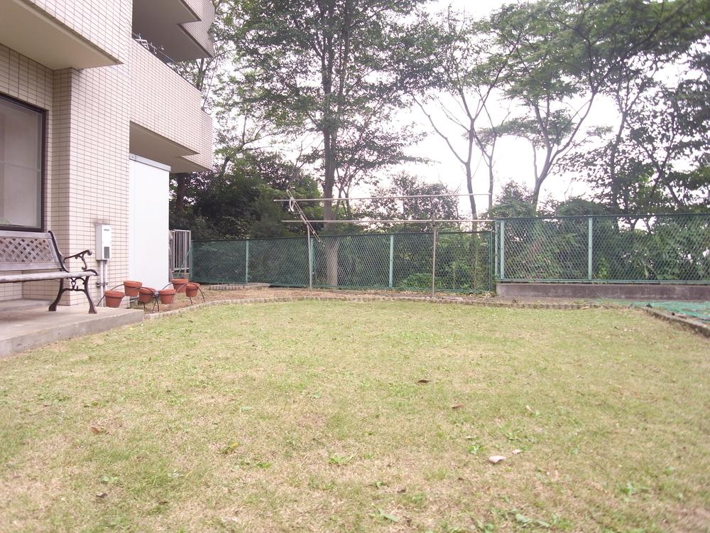 Garden. Private garden (September 2013) Shooting