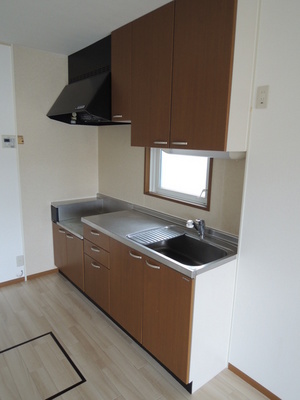 Kitchen. Kitchen (stove installation type)