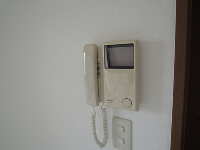 Security. Monitor with intercom