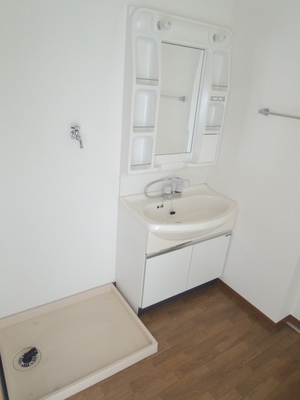 Washroom. Vanity & Laundry Area