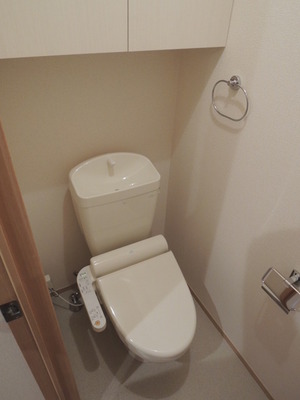 Toilet. Toilet with warm water washing toilet seat