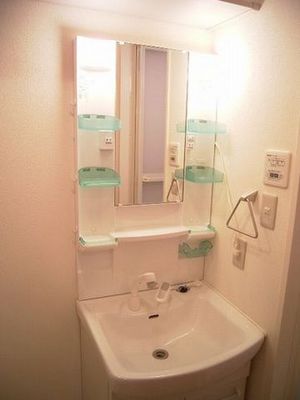 Washroom. Washroom is shampoo dresser type
