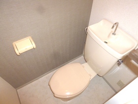 Toilet. Toilet