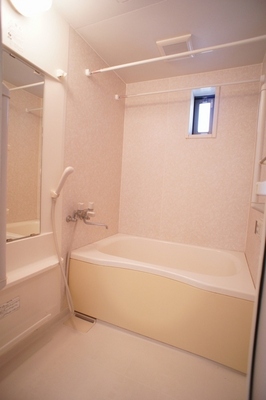 Bath. Bathroom with a window is also useful ventilation! Of course, it is with add-fired function!