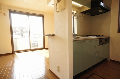 Kitchen. System kitchen is a three-necked gas stove! Also jewels grill!