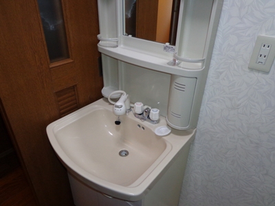 Washroom. Bathroom Vanity