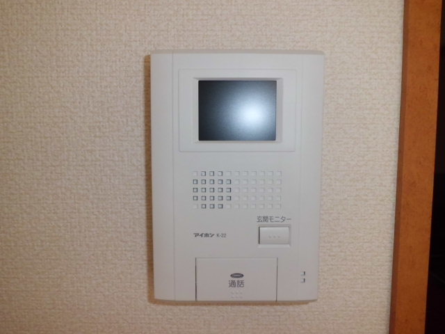 Security. Interphone with a monitor