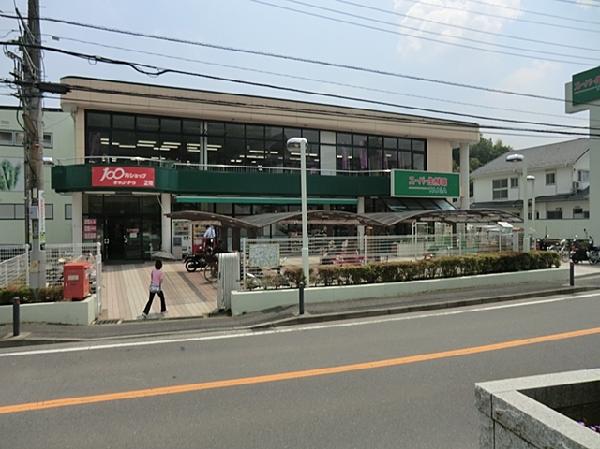 Supermarket. TAIGA until Okozu shop 650m