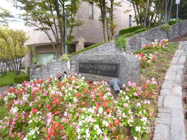 Other local. Local (11 May 2013) Shooting