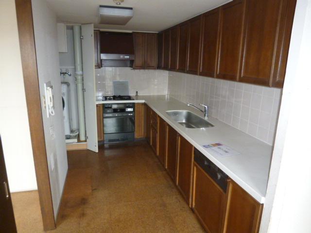 Kitchen. Indoor (11 May 2013) Shooting