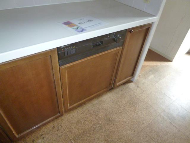 Kitchen. Indoor (11 May 2013) Shooting