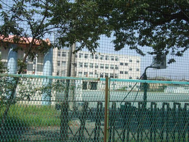 Other. Kadono elementary school is the front of the eye.