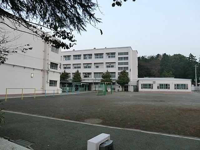 Primary school. Okozu until elementary school 350m