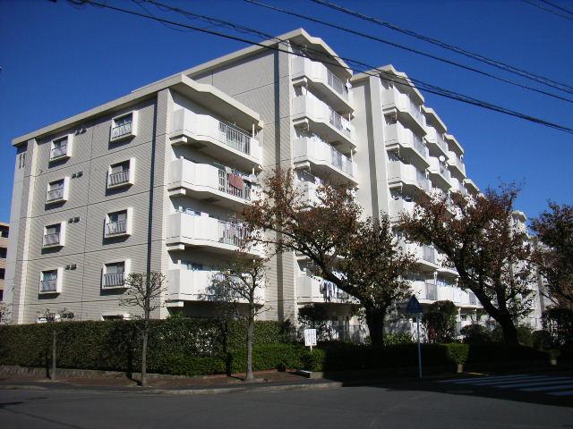 Local appearance photo. Local (September 2013) Shooting