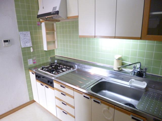 Kitchen. Indoor (10 May 2013) Shooting