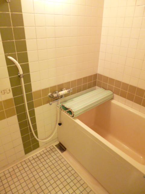 Bathroom. Indoor (10 May 2013) Shooting