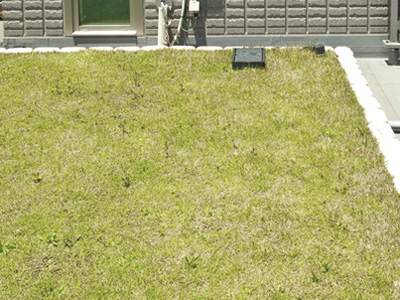 Other.  [Roof greening] By planting the plant on the roof part, It is effective in such as "suppression of the roof of the radiant heat," "realization of energy saving due to the insulating effect of the lower floor dwelling unit". (Part only) (same specifications)