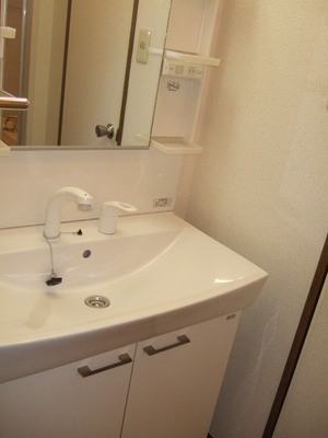 Washroom. Bathroom Vanity