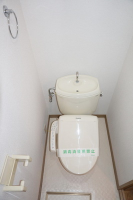 Toilet. Cleaning toilet seat