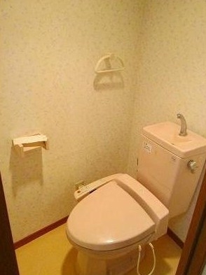Toilet. Warm water washing toilet seat