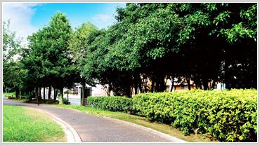 park. Nakatehara 1027m until the green road