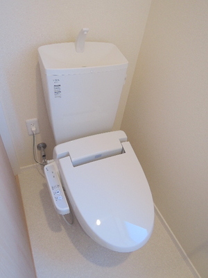 Toilet. Toilet of a certain and happy with bidet