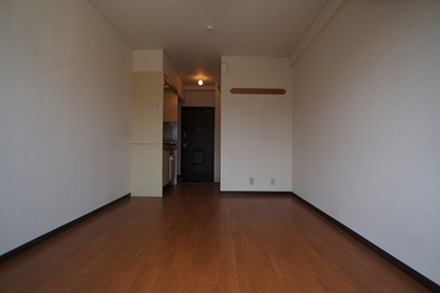 Living and room. Interior renovated ~ Light plug is bright rooms!