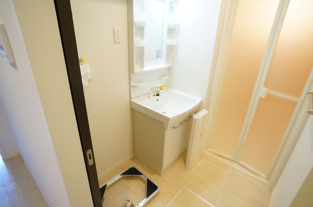 Washroom. Vanity independence