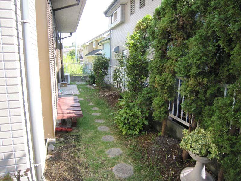 Garden. The south side of the garden