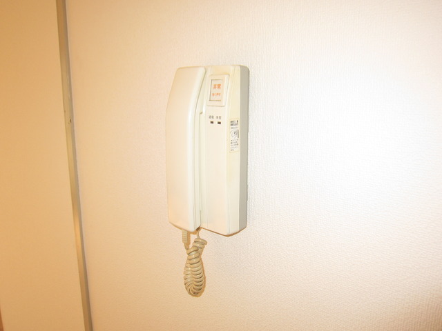Security. Crime prevention in the intercom