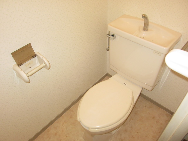 Toilet. Toilet with cleanliness