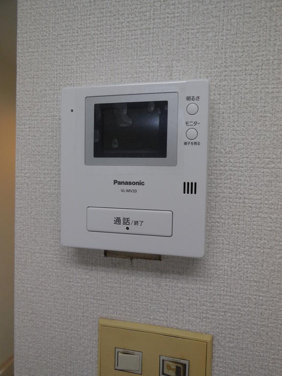 Security. TV monitor phone of peace of mind! 