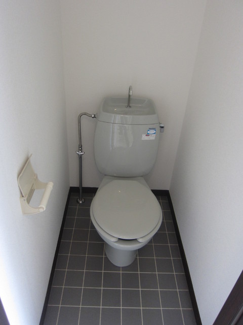Toilet. Warm water washing toilet seat installation Allowed
