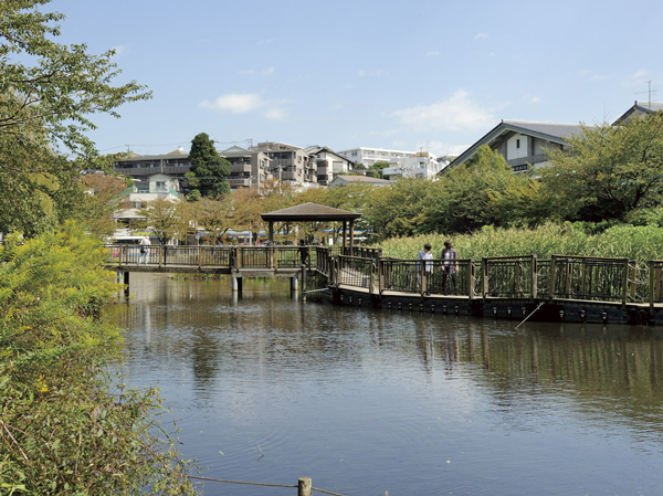 Surrounding environment. Shinohara pond (Kishinekoen (about 540m ・ 7 minutes walk) in the)