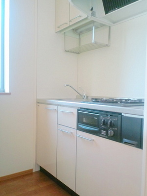Kitchen. There is also a bright grille with gas two-burner system kitchen window