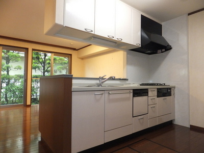 Kitchen. Gas stove 3-neck ・ Dishwasher