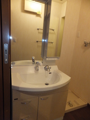 Washroom. Shampoo dresser