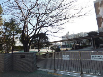 Primary school. 190m to Yokohama Municipal Shirahata elementary school (elementary school)