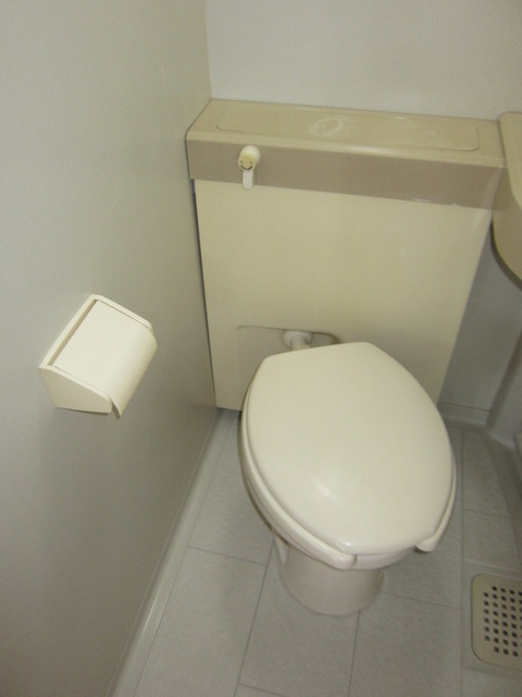 Toilet. Toilet with cleanliness