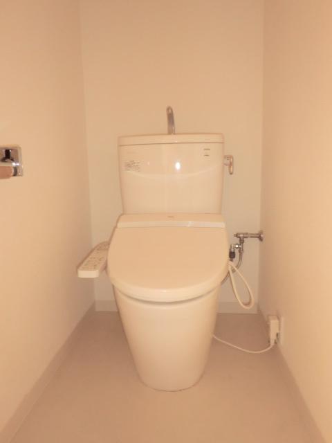 Toilet. Indoor (11 May 2012) shooting