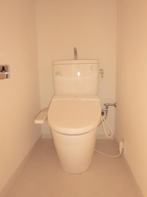 Toilet. Indoor (11 May 2012) shooting