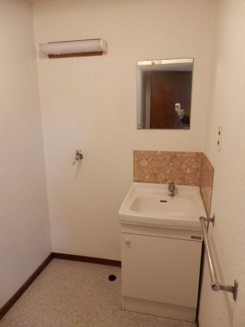 Washroom. Lavatory and washing machine inside the room is spread.