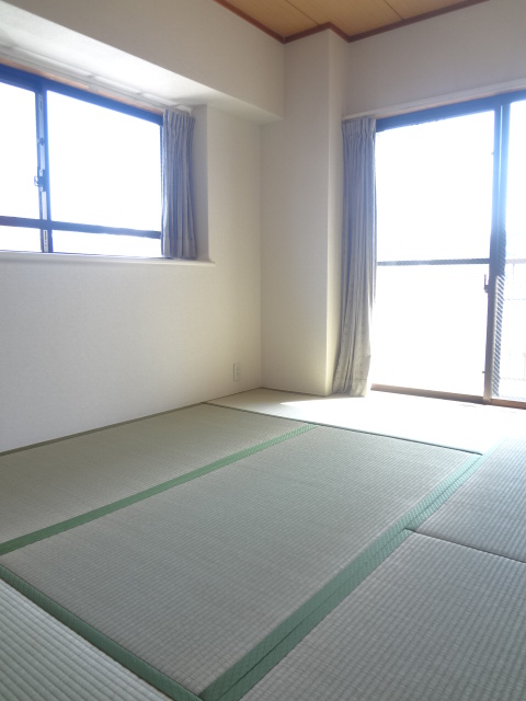 Other room space. A two-sided lighting is bright Japanese-style room