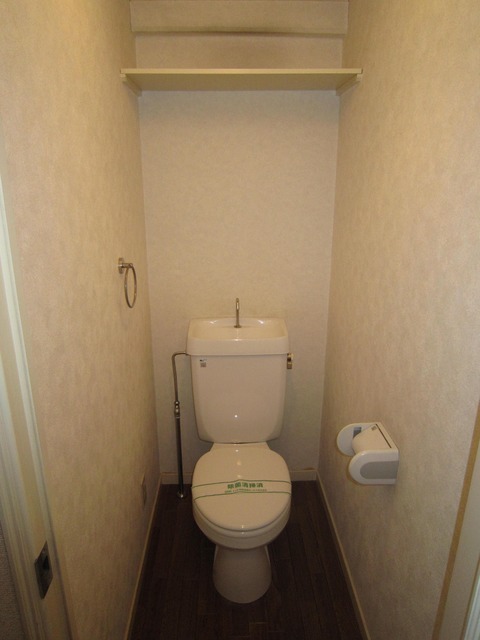 Toilet. Toilet